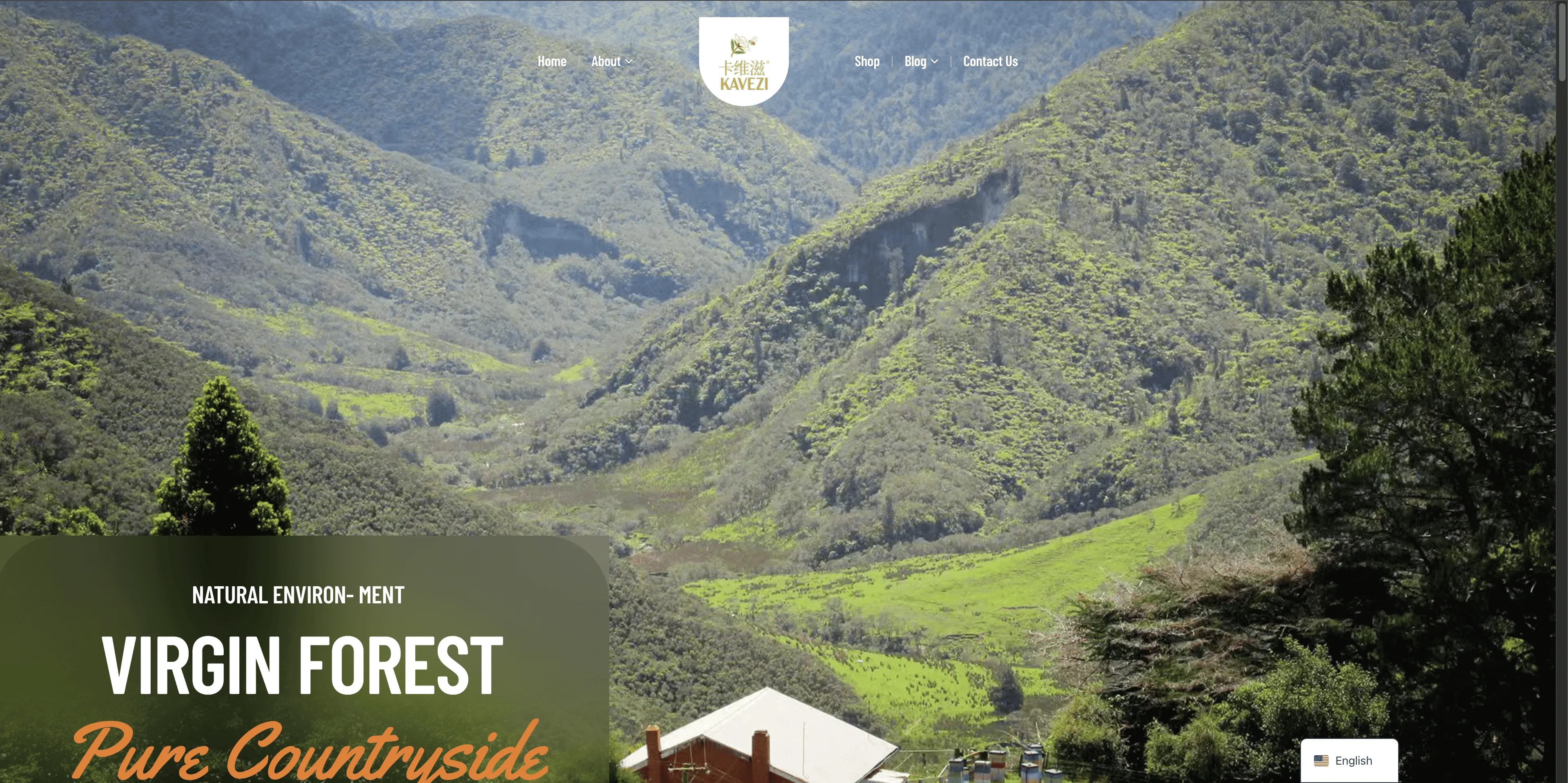 卡维滋进口蜂蜜品牌独立站